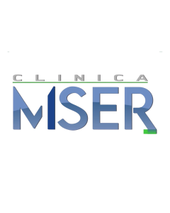 MISER LOGO